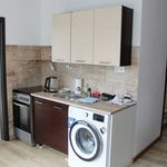 Rent 2 bedroom apartment of 58 m² in Miřetice