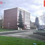 Rent 1 bedroom apartment of 36 m² in Příbor