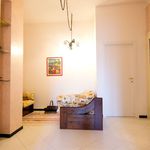 Rent 1 bedroom apartment of 17 m² in Milano