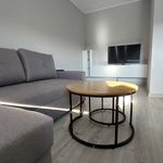 Rent 1 bedroom apartment of 24 m² in Bełchatów