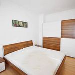 Rent 3 bedroom house of 110 m² in Debrecen