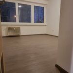 Rent 3 bedroom apartment in Hradec Králové