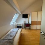 Rent 1 bedroom apartment of 30 m² in Karlsruhe