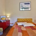 Rent 1 bedroom apartment of 35 m² in Florence