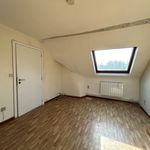 Appartement de 60 m² avec 1 chambre(s) en location à Péruwelz