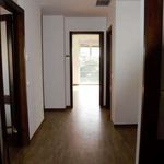 Rent 6 bedroom apartment of 220 m² in Bari