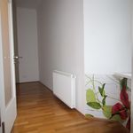 Rent 2 bedroom apartment of 57 m² in Graz