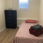 Single Room With Shared Bathroom - A (Has an Apartment)