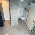 Rent 1 bedroom apartment of 71 m² in Udenhout