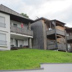 Rent 1 bedroom apartment in Mautern in Steiermark