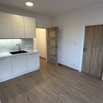 Rent 1 bedroom apartment of 37 m² in Humpolec