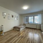 Rent 1 bedroom apartment of 36 m² in Olomouc