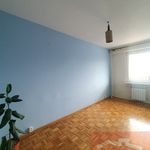 Rent 2 bedroom apartment of 56 m² in Bełchatów
