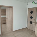 Rent 2 bedroom apartment of 39 m² in Dnešice