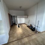 Rent 1 bedroom apartment of 30 m² in Dašice