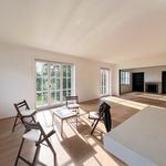 Appartement de 217 m² avec 4 chambre(s) en location à Ukkel