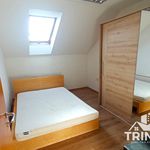 Rent 2 bedroom apartment of 50 m² in Dolní Olešnice
