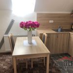 Rent 1 bedroom apartment of 52 m² in Opava