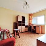Wynajmij 1 sypialnię apartament z 25 m² w Łódź