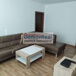 Rent 2 bedroom apartment of 44 m² in Zichovec