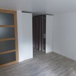 Rent 1 bedroom apartment of 55 m² in Saint-Georges-sur-Loire