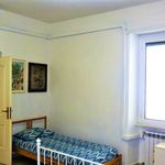 Rent 2 bedroom student apartment of 75 m² in Roma