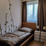 Rent 3 bedroom apartment of 70 m² in Deutsch-Wagram