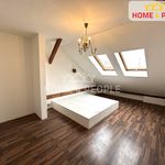 Rent 4 bedroom apartment in Plzeň