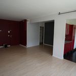 Appartement de 43 m² avec 1 chambre(s) en location à Lille