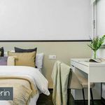 Alquilar 7 dormitorio apartamento en Segorbe