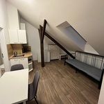 Rent 1 bedroom apartment of 22 m² in Brno