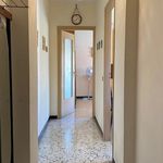 Affitto 1 camera appartamento di 50 m² in San Bartolomeo al Mare