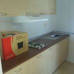 Rent 1 bedroom apartment in Pilar de la Horadada