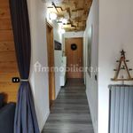 Rent 3 bedroom apartment of 75 m² in Ponte di Legno