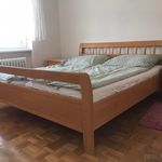 Rent 3 bedroom apartment of 72 m² in Prostějov
