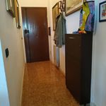 Rent 2 bedroom apartment of 60 m² in Ladispoli
