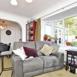 Rent 4 bedroom apartment in Northampton