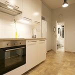 Rent 4 bedroom apartment in Lodz