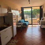 Affitto 3 camera appartamento di 62 m² in Santa Marinella