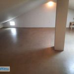 Rent 4 bedroom house of 160 m² in Bologna