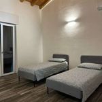 Rent 3 bedroom apartment of 62 m² in Verona