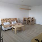 Rent 2 bedroom apartment of 55 m² in Pardubice