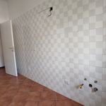 Rent 3 bedroom apartment of 85 m² in Novara