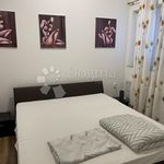 Najam 1 spavaće sobe stan od 75 m² u Primorsko-goranska