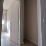 Rent 4 bedroom apartment of 100 m² in Piacenza