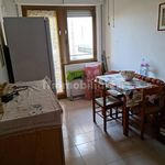 Affitto 2 camera appartamento di 30 m² in Roseto Capo Spulico