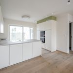 Rent 2 bedroom apartment of 91 m² in Hamont-Achel