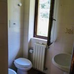 Rent 2 bedroom apartment of 43 m² in Ponte di Legno