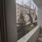 Rent 4 bedroom apartment of 120 m² in Číhošť