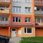 Rent 2 bedroom apartment of 41 m² in Litvínov